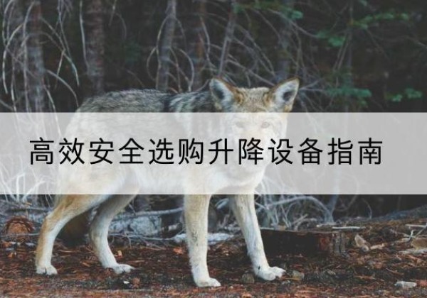 华坪升降货梯厂家推荐-*安全选购升降设备指南