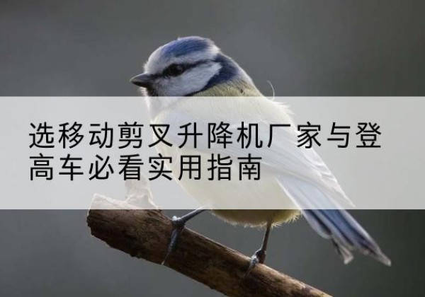 华坪电动升降机厂家-选移动剪叉升降机厂家与登高车必看实用指南