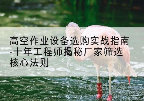 华坪剪叉式升降机厂家-高空作业设备选购实战指南-十年工程师揭秘厂家筛选核心法则
